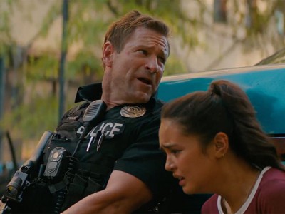 По долгу службы