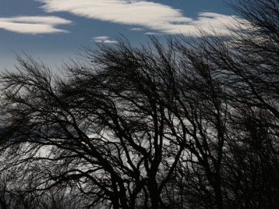 Против ветра