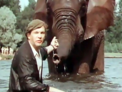 Боба и слон