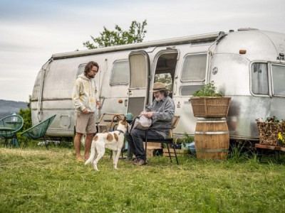 Гампи. Собачья жизнь