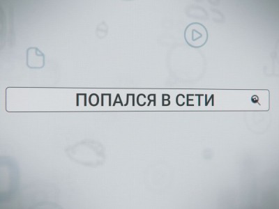 Попался в сети