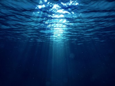 Вода и жизнь