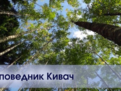 Природа России. Заповедник Кивач