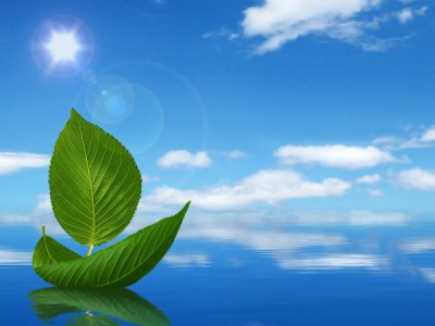 Оздоровительная программа Коррекции фигуры с Татьяной Попеновой