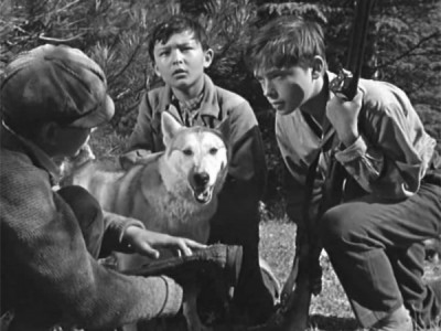 О чём молчала тайга