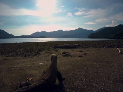 Водный мир острова Комодо