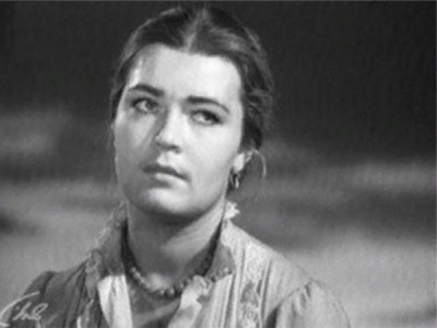 Донская повесть