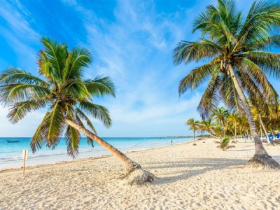 Путешествия Ватсона