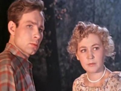 Шофёр поневоле