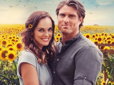 Истории любви Долины подсолнухов