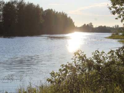 Где наша не пропадала