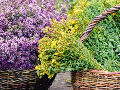 Какого лешего?