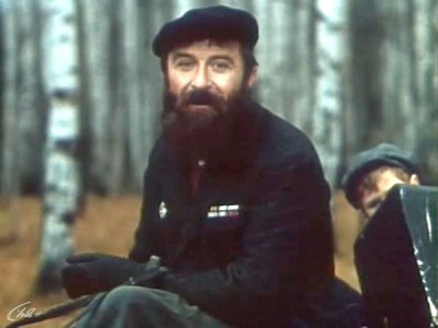 Во бору брусника