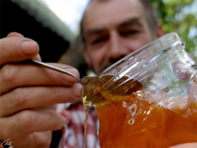 Сад без границ