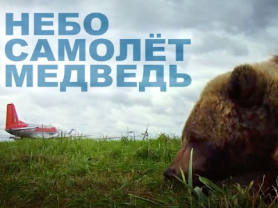 Небо. Самолет. Медведь