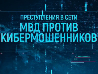 Преступления в сети: МВД против кибермошенников