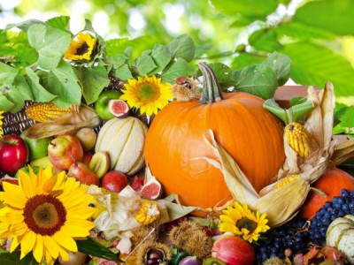 Сад в радость