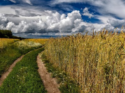 Соль земли русской