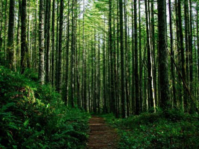 Сказки Живой природы