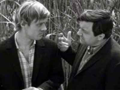 Тихие берега