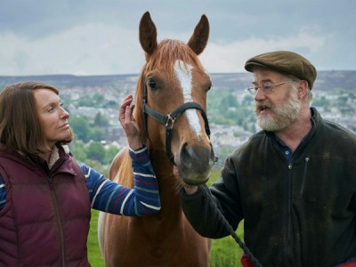 Лошадь мечты