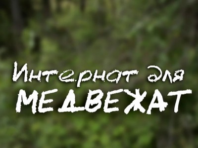 Интернат для медвежат