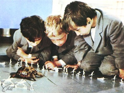 Внимание, черепаха!