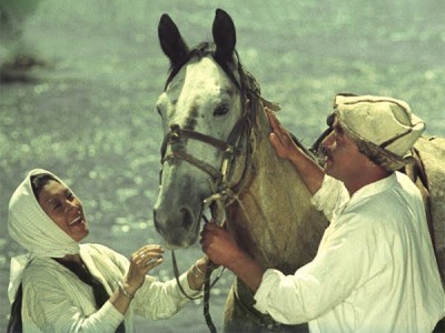 Бег иноходца