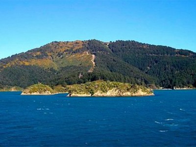 Пролив Кука: туда и обратно