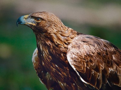 Удивительная Дания