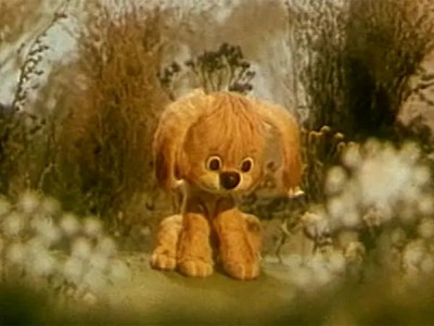 Как щенок учился плавать