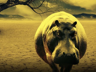 Вымирание: уход навсегда?