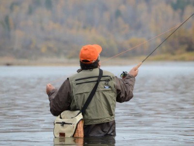 Зима. Удочка. Поклевка