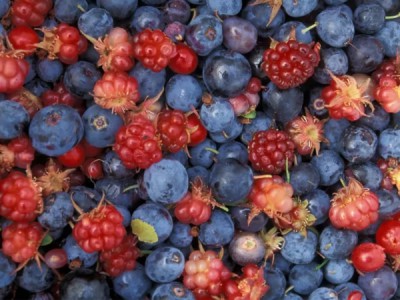 Дикая ягода