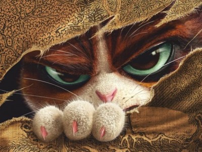 Кунг-фу кот