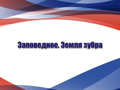 Заповедное. Земля зубра
