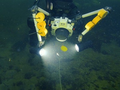 Арктика. Зазеркалье