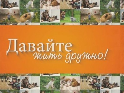 Давайте жить дружно