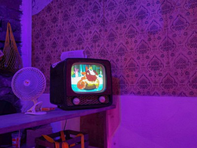 В гостях у Элвиса