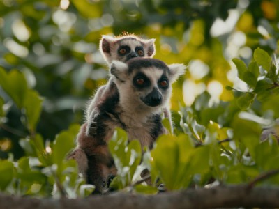 Это про любовь?