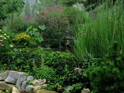 Не райская жизнь райского сада