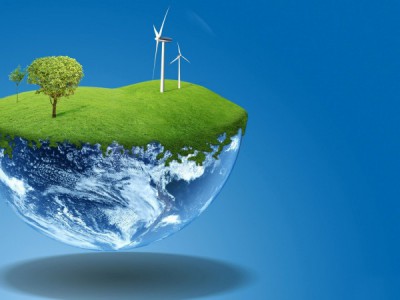 Дикие цветы