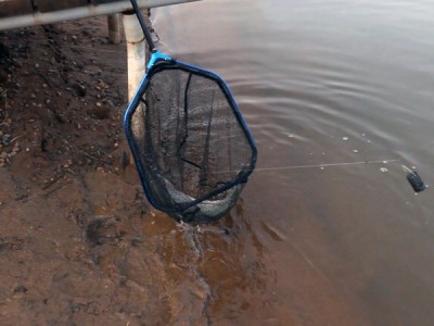 Фидер. Секреты успеха