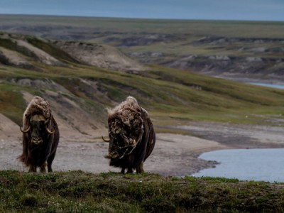 Россия заповедная