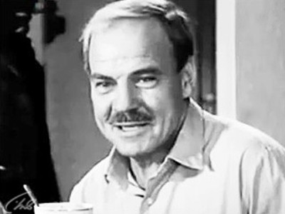 Птицы над городом