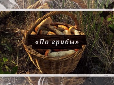 По грибы