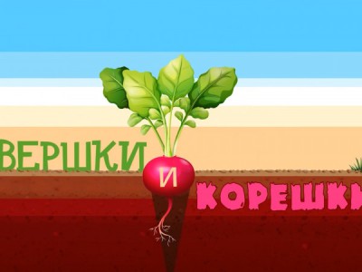 Вершки и корешки