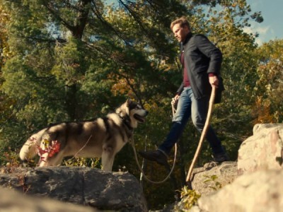 Собака-герой: Путешествие домой