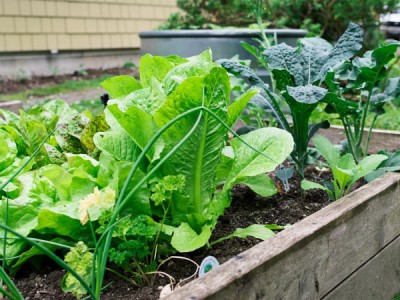 Азбука интерьера