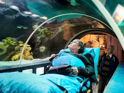 Последнее желание